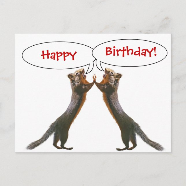 Funny ekorre Birthday Postcard Vykort (Framsida)