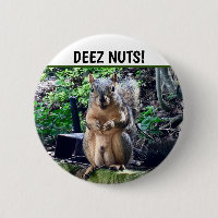 Funny ekorrel Deez Nöt Opassande Humor Photo