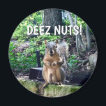 Funny ekorrel Deez Nöt Opassande Humor Photo Magnet<br><div class="desc">DEEZ NÖT! Ett superskojets ekorrespel på ord skämtar om nöt. Gumnetgåva från humor till vuxen. Få dina vänner att skratta med det här popkulturcitatet.</div>