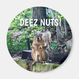 Funny ekorrel Deez Nöt Opassande Humor Photo Magnet