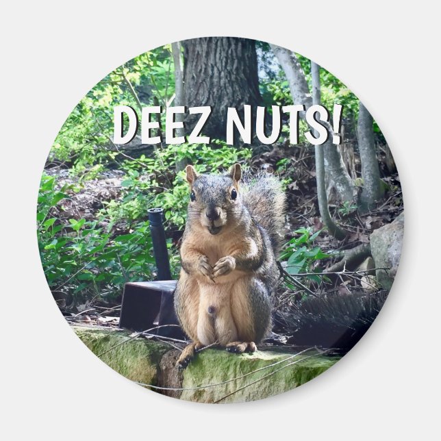 Funny ekorrel Deez Nöt Opassande Humor Photo Magnet (Framsidan)