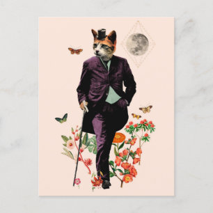 Funny Elegant Cat Vykort