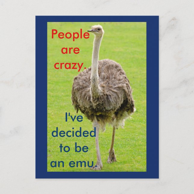 Funny Emu-vykort Vykort (Framsida)