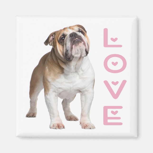 Funny English Bulldog Mamma Kärlek Puppy Hund Magnet (Framsidan)