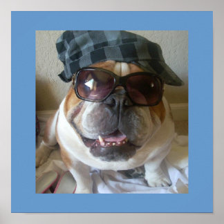 Funny English Bulldog Poster