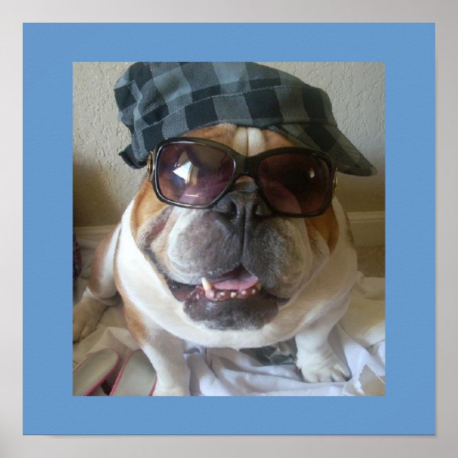 Funny English Bulldog Poster (Framsidan)