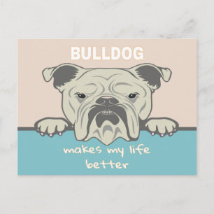 Funny English Bulldog Vykort