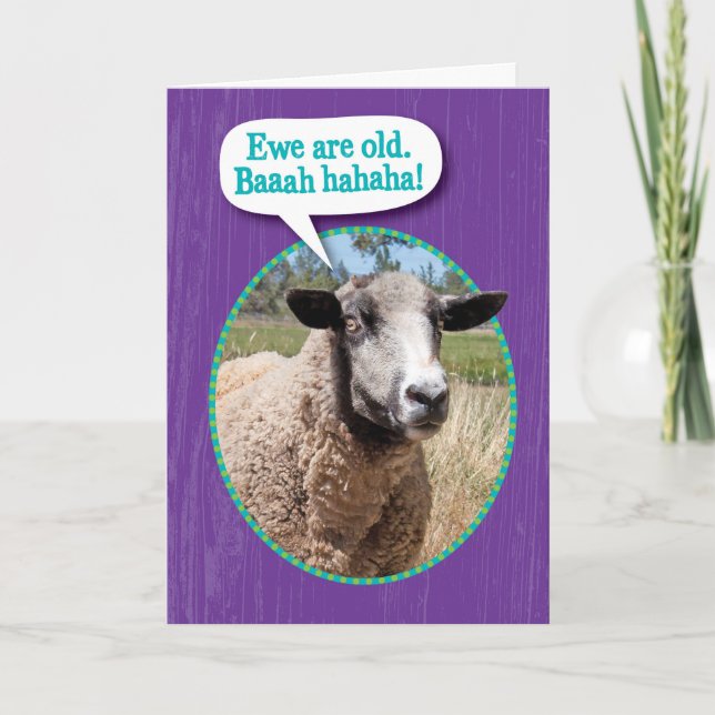 Funny Ewe Old Sheep Shot Birthday Kort (Framsida)