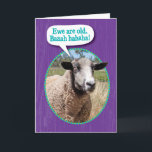 Funny Ewe Old Sheep Shot Birthday Kort<br><div class="desc">När ett får säger: "Vi är gamla. Baaa haha!" kan betraktas som ett "fårskott",  men Ewe kan bara skratta. Särskilt när det är för nån annans födelsedag. De enda "ramupptäckterna" är att de kommer att få bakslag på din födelsedag. :</div>