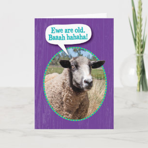 Funny Ewe Old Sheep Shot Birthday Kort