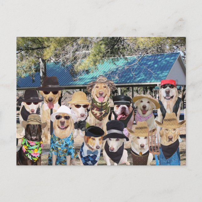 Funny Family Reunion Inbjudan Vykort (Framsida)