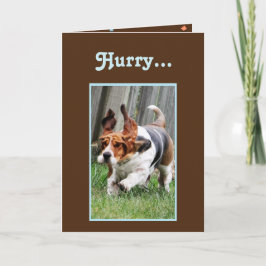Funny "Fars dag"-kort med cute Basset Hound Kort