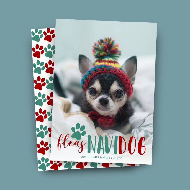 Funny Feliz Navidad Hund Photo jul Julkort (Skapare uppladdad)