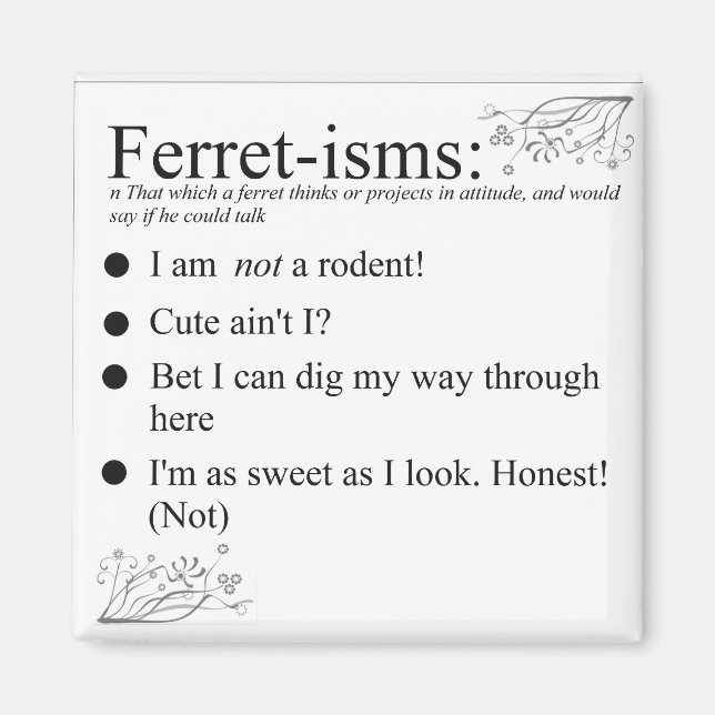 Funny Ferret Gifts Magnet (Framsidan)