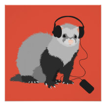 Funny Ferret Music Älskare