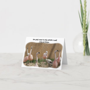 Funny Flamingo Friend-hälsningskort Kort