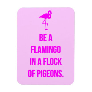 FUNNY FLAMINGO RÅDGIVNING FINNS I EN FLOCK PIGEONE MAGNET