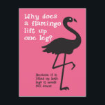 Funny Flamingo Riddle Vykort<br><div class="desc">Lustigt flamingo-gåta "Varför flamingo hiss upp ett ben?" är roligt för vem som helst,  men särskilt roligt,  att skicka till barnbarn eller barn. Svart flamingo silhouette-illustration på en ljus rosa bakgrund med ett roligt-typsnitt.</div>