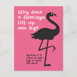 Funny Flamingo Riddle Vykort