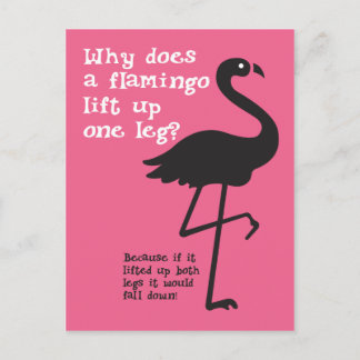 Funny Flamingo Riddle Vykort