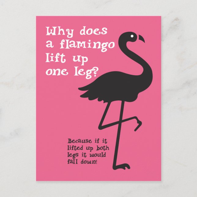 Funny Flamingo Riddle Vykort (Framsida)