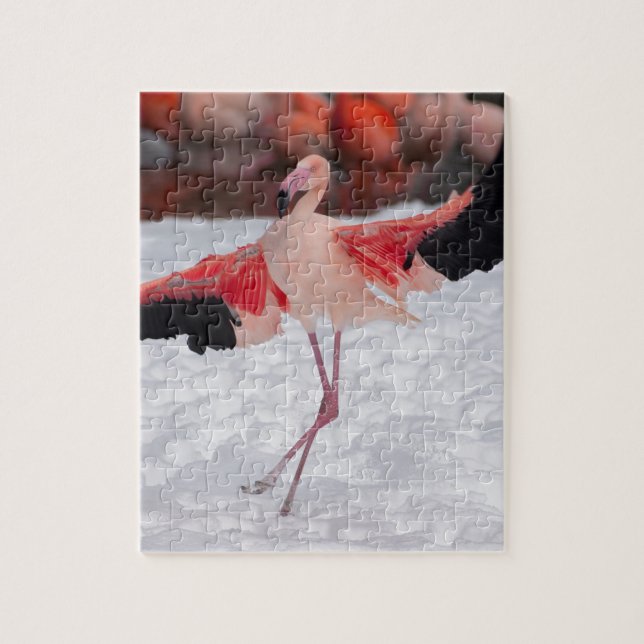 Funny Flamingo som dansar flamenco Pussel (Vertikal)