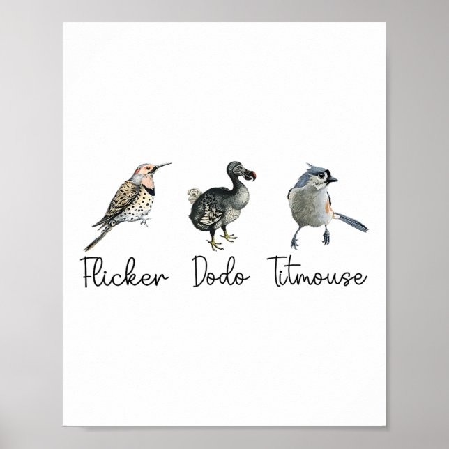 Funny Flicker Dodo Titmus Poster (Framsidan)