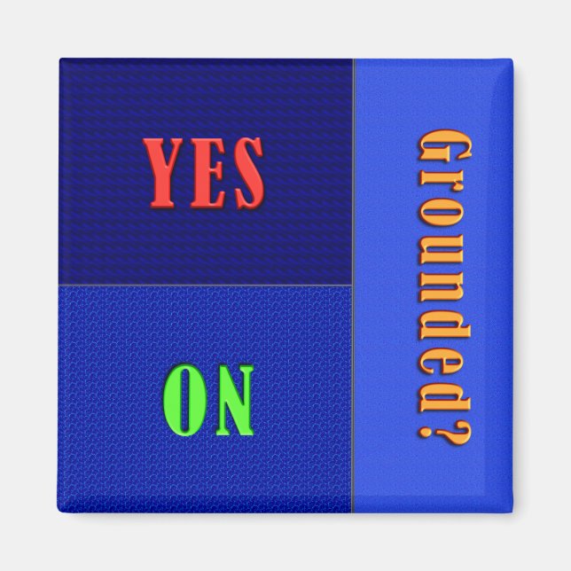 Funny Flip Magnet - Jordad status (Framsidan)