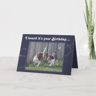 Funny födelsedagskort med Cute Basset Hounds & Bal Kort