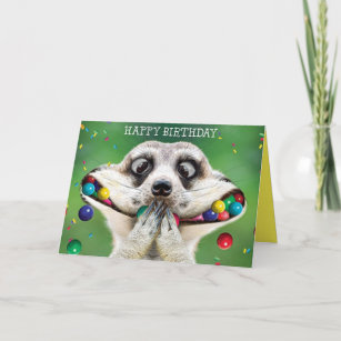 Funny födelsedagskort - Meerkat Kort