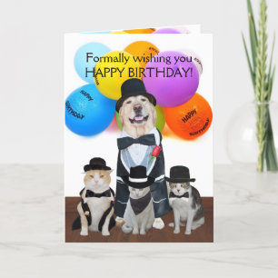 Funny Formal Pets Birthday för barn Kort
