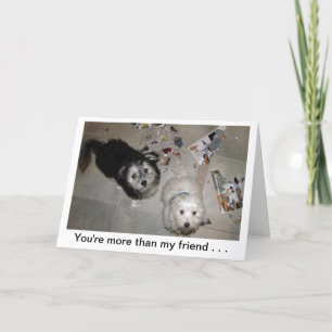 Funny Friend Puppy Birthday Card Kort