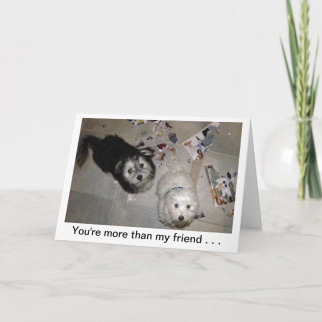 Funny Friend Puppy Birthday Card Kort (Framsida)