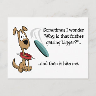 Funny Frisbee Postcard Vykort