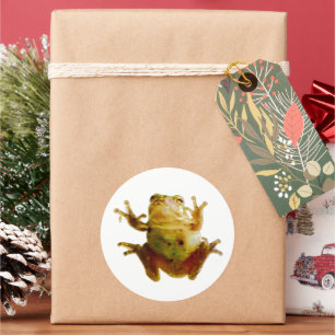 Funny Frog Froggie Toad 4Fred Runt Klistermärke