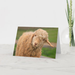 Funny Fuzzy Baby Goat Birthday Kort