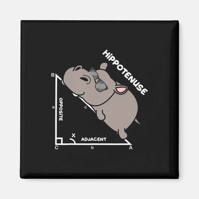Funny Geometry Hypotenuse Math Mathematics Teacher Magnet (Framsidan)