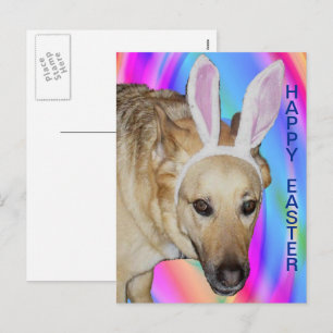 Funny German Shepherd Hund & Påskhare Öron Helg Vykort