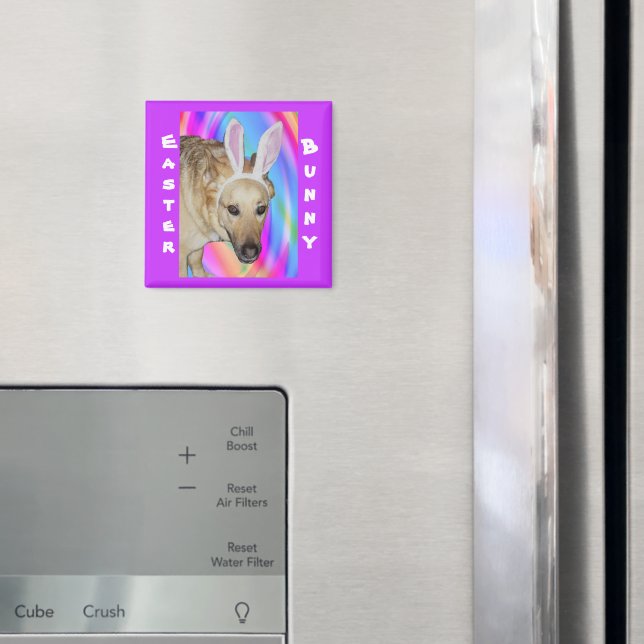 Funny German Shepherd Hund & Påskhare Öron Magnet (In Situ (Fridge))