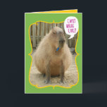 Funny Giant Cake-Eating Guinea Gris Birthday Kort<br><div class="desc">I Sydamerika är kapybara den största gnagaren i världen, följt av bäver, porcupin och mara. Den närmaste släktingen är gris, förutom att denna gnagare väger mellan 77 och 146 lbs. Den roterade, cylinderformade kroppen får den att se ut som om den bara svalde en hel födelsedagskalas, vilket gör denna perfekt...</div>