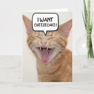 FUNNY GINGER CAT BIRTHDAY CARD I WANT CHEESECAKE! TACK KORT