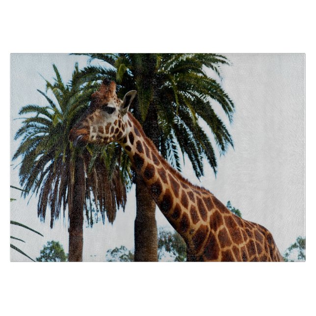 Funny Giraffe Ge A Raspberry (Framsidan)