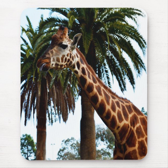 Funny Giraffe Ge A Raspberry Musmatta (Framsidan)