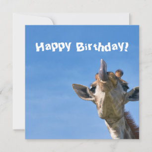 Funny Giraffe Grattis på födelsedagen Kort