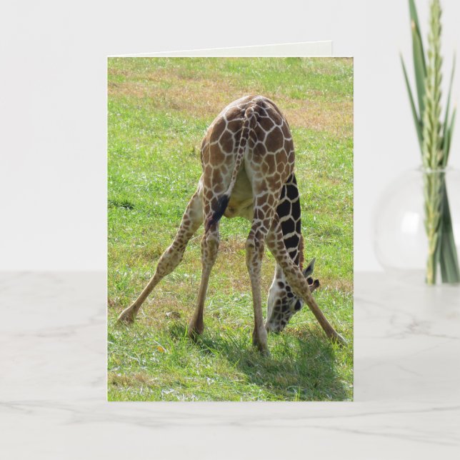 Funny Giraffe Greeting Card (tomt inuti) Kort (Framsida)
