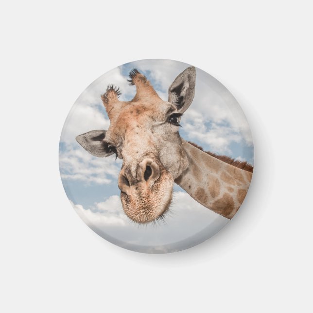 Funny Giraffe Magnet (Framsidan)