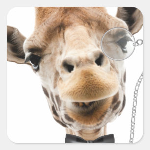 Funny Giraffe med Bowtie och Monocle Fyrkantigt Klistermärke