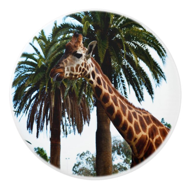 Funny Giraffe Poking Out Tunga, Knopp (Framsidan)