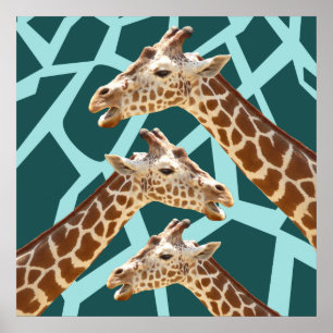 Funny Giraffe Print Teal Blue Vild Animal Mönster Poster