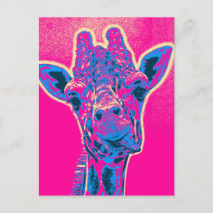 Funny Giraffe Sticking out Hans Tunga Vykort